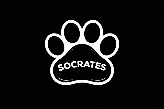 Personalized Paw Name Decal | Custom Vinyl Decal